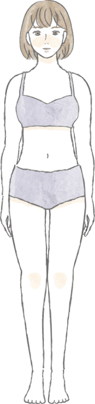 骨格ストレート